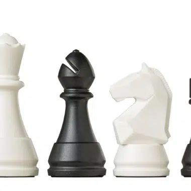 Pièces d'échecs DGT Pegasus alignées : dame, fou, cavalier et pion