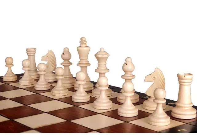Jeu d'Échecs Magnétique 35x35 cm – Echiquier Magnetique en Bois avec Pièces Staunton