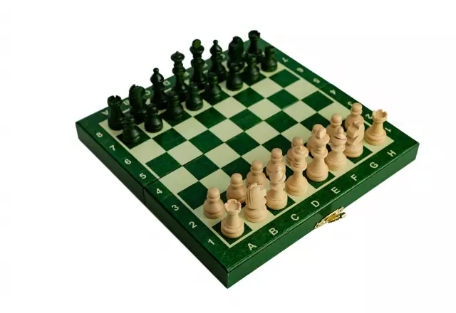 Jeu d’Echecs Pliable de Voyage en Bois avec Rangement 20 x 20 cm