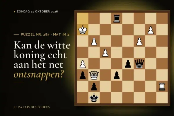 Stelling van schaakpuzzel nr. 285: Zwart aan zet en geeft mat in 3