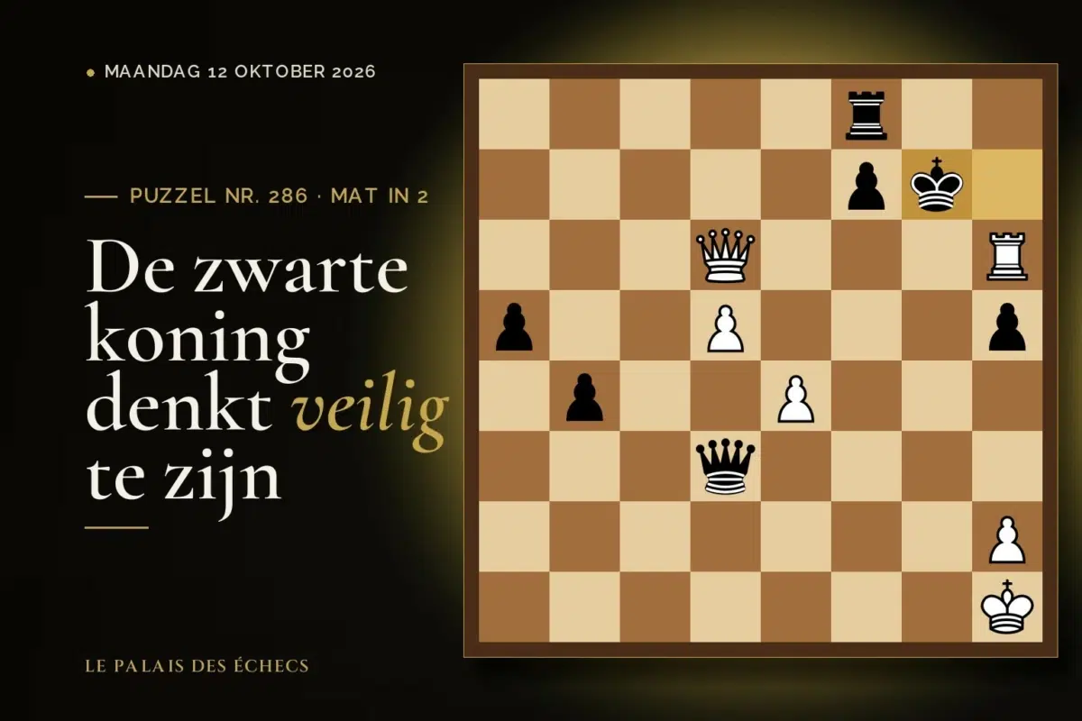 Stelling van schaakpuzzel nr. 286: Wit aan zet en geeft mat in 2