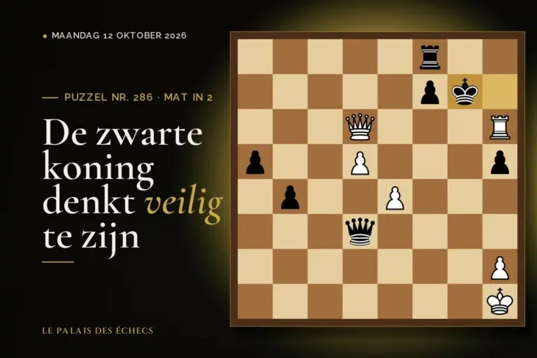 Stelling van schaakpuzzel nr. 286: Wit aan zet en geeft mat in 2