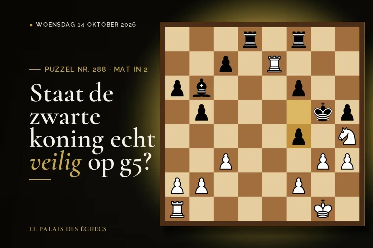 Stelling van schaakpuzzel nr. 288: Wit aan zet en geeft mat in 2