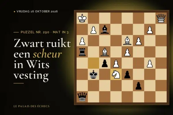 Stelling van schaakpuzzel nr. 290: Zwart aan zet en geeft mat in 3