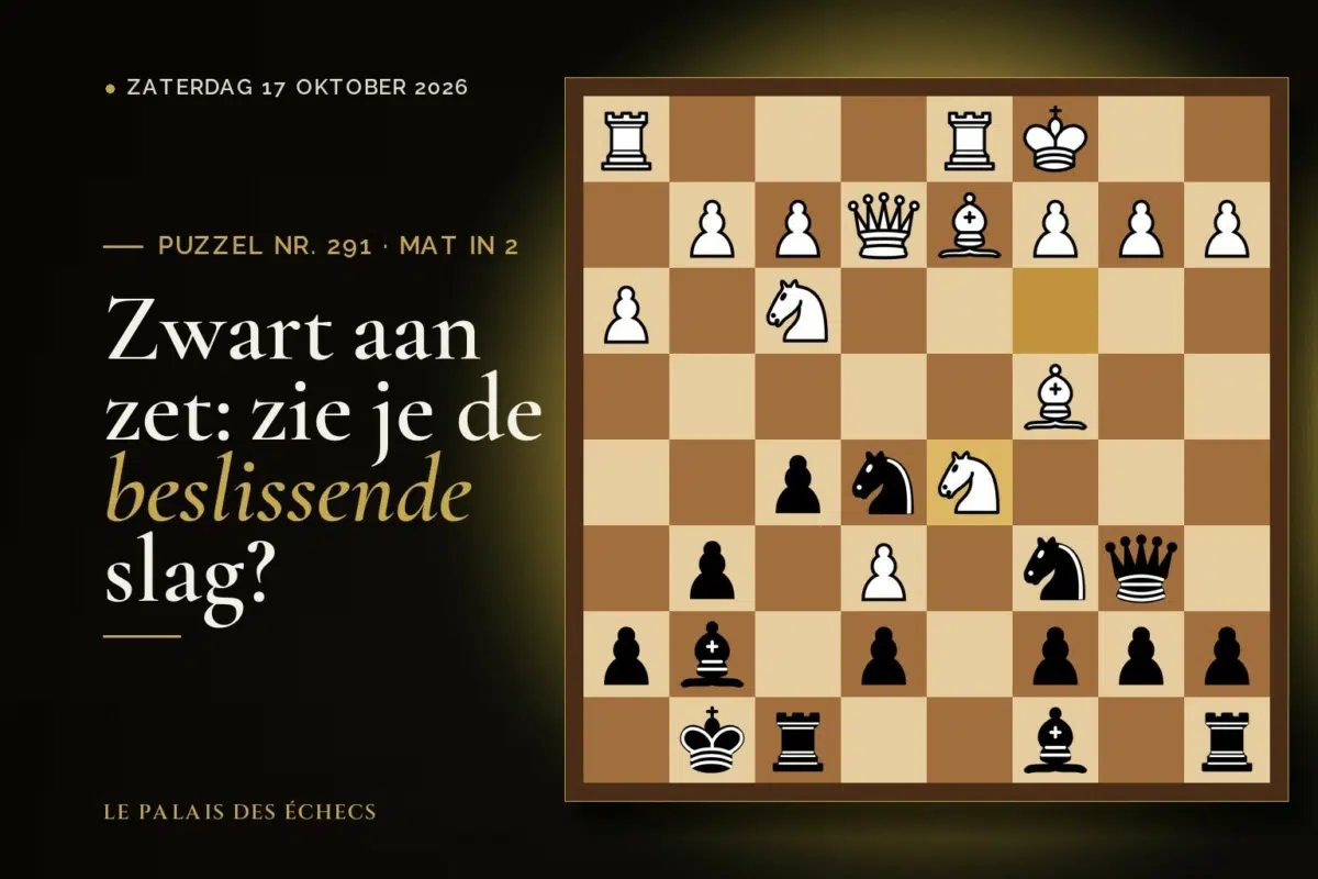 Stelling van schaakpuzzel nr. 291: Zwart aan zet en geeft mat in 2