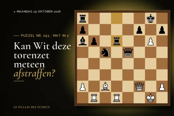 Stelling van schaakpuzzel nr. 293: Wit aan zet en geeft mat in 2