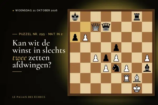 Stelling van schaakpuzzel nr. 295: Wit aan zet en geeft mat in 2
