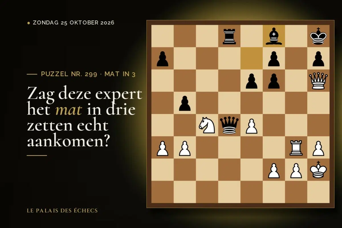 Stelling van schaakpuzzel nr. 299: Wit aan zet en geeft mat in 3