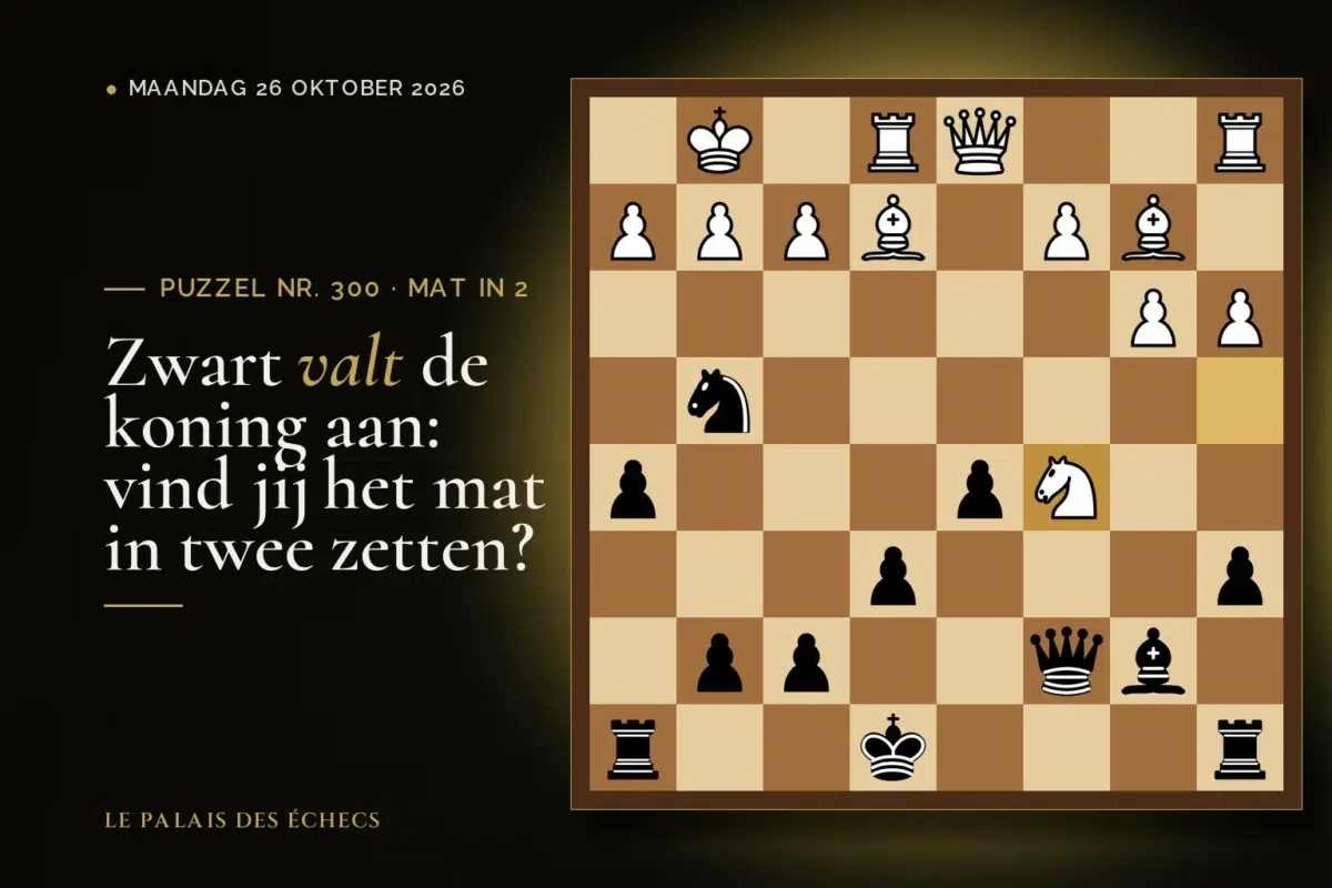 Stelling van schaakpuzzel nr. 300: Zwart aan zet en geeft mat in 2