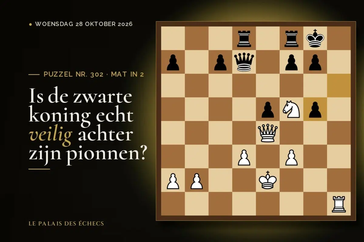 Stelling van schaakpuzzel nr. 302: Wit aan zet en geeft mat in 2