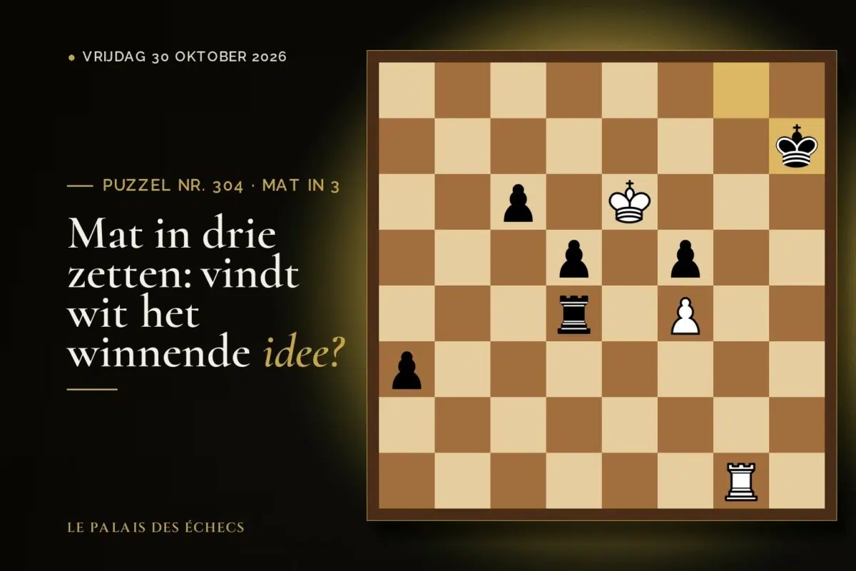 Stelling van schaakpuzzel nr. 304: Wit aan zet en geeft mat in 3