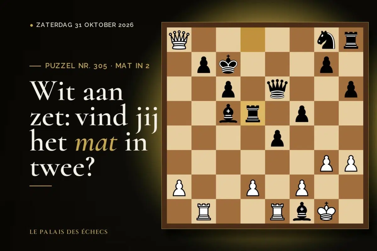 Stelling van schaakpuzzel nr. 305: Wit aan zet en geeft mat in 2